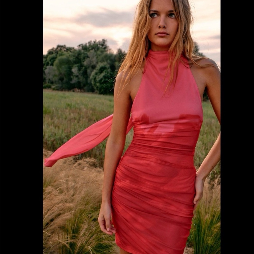 Zara Vibrant Tulle Red & Pink Backless Dress